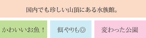 観光案内 公式サイト 絶景とグルメの宿 ｈｏｔｅｌ万葉岬 ドローンで伝える圧巻の景色